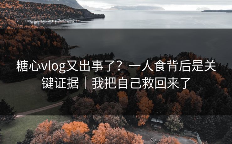糖心vlog又出事了？一人食背后是关键证据｜我把自己救回来了