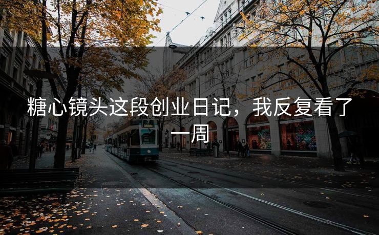 糖心镜头这段创业日记，我反复看了一周