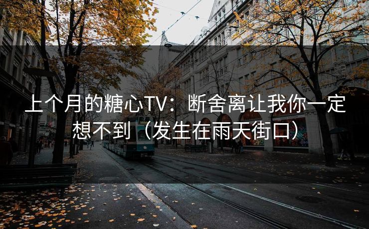 上个月的糖心TV：断舍离让我你一定想不到（发生在雨天街口）