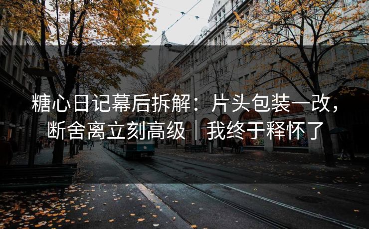 糖心日记幕后拆解：片头包装一改，断舍离立刻高级｜我终于释怀了