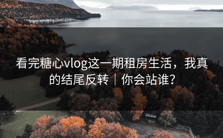 看完糖心vlog这一期租房生活，我真的结尾反转｜你会站谁？