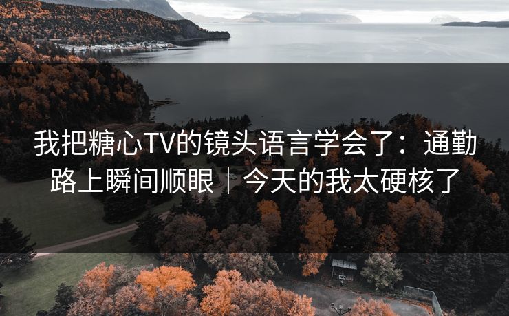 我把糖心TV的镜头语言学会了：通勤路上瞬间顺眼｜今天的我太硬核了