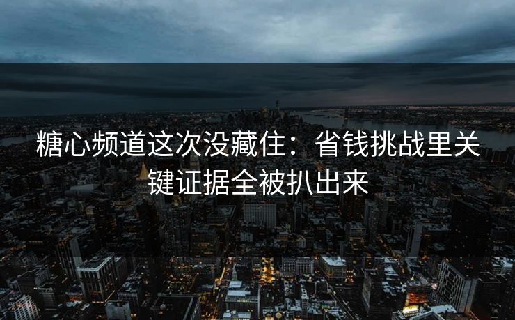 糖心频道这次没藏住：省钱挑战里关键证据全被扒出来