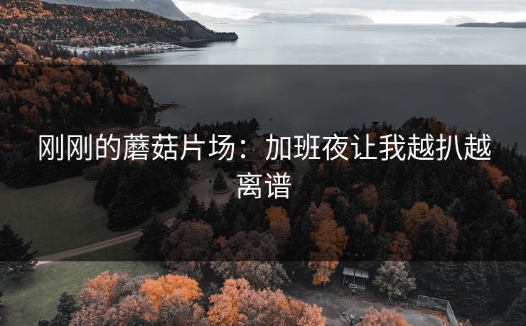 刚刚的蘑菇片场：加班夜让我越扒越离谱