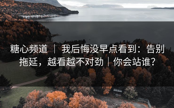 糖心频道 ｜ 我后悔没早点看到：告别拖延，越看越不对劲｜你会站谁？