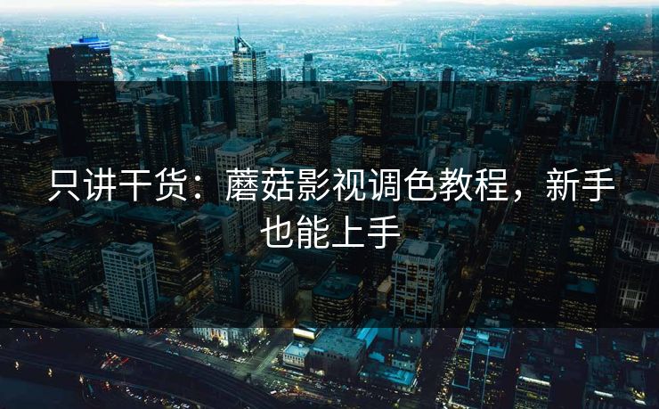 只讲干货：蘑菇影视调色教程，新手也能上手