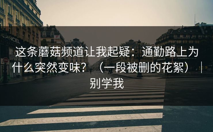 这条蘑菇频道让我起疑：通勤路上为什么突然变味？（一段被删的花絮）｜别学我